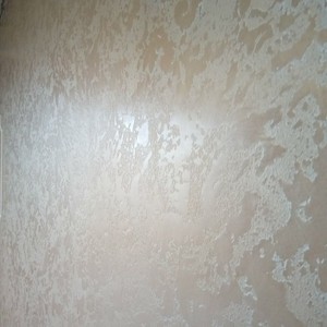 Десятий проєкт