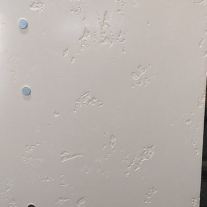 Десятий проєкт