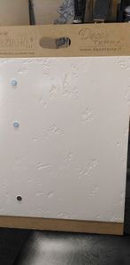 Десятий проєкт