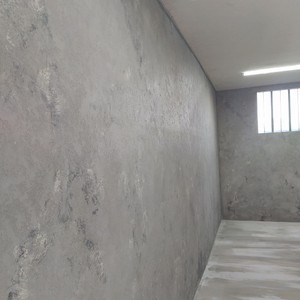 Десятий проєкт