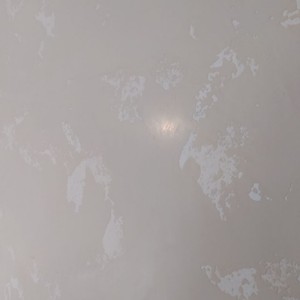 Десятий проєкт