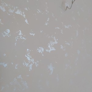 Одинадцятий проєкт