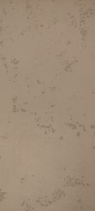 Одинадцятий проєкт