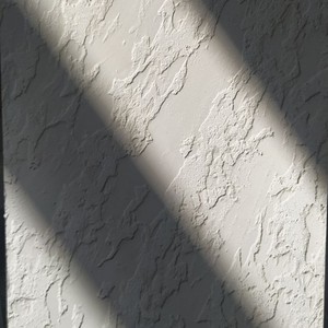 Одинадцятий проєкт