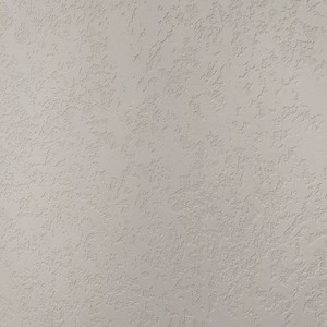 Одинадцятий проєкт