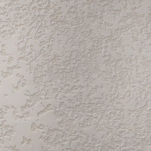 Одинадцятий проєкт