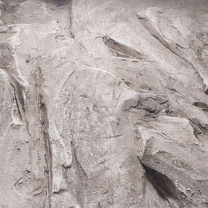 Одинадцятий проєкт