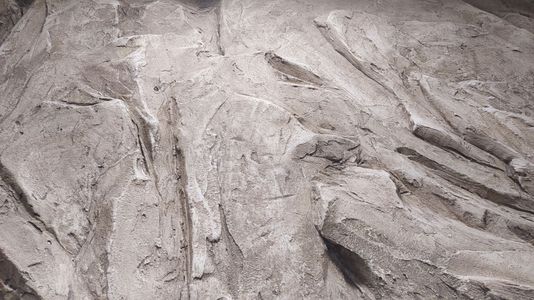 Одинадцятий проєкт