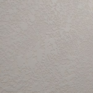 Одинадцятий проєкт