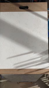 Дванадцятий проєкт