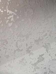 Дванадцятий проєкт