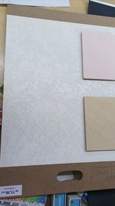 Тринадцятий проєкт