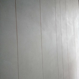 Тринадцятий проєкт