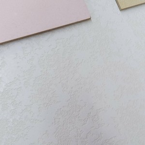 Чотирнадцятий проєкт