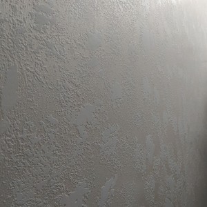 Четвертий проєкт