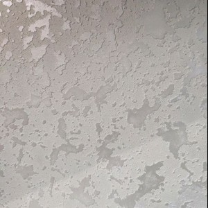 Четвертий проєкт