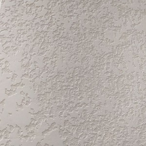 П'ятий проєкт