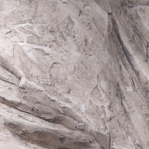 П'ятий проєкт