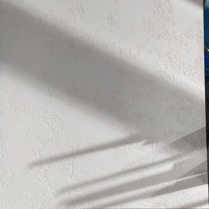 Шостий проєкт