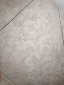 Шостий проєкт