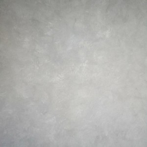 Восьмий проєкт