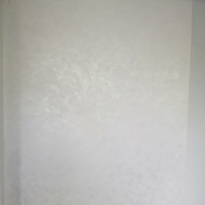 Дев'ятий проєкт